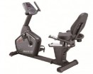   MAXFIT R7  sportsman -     